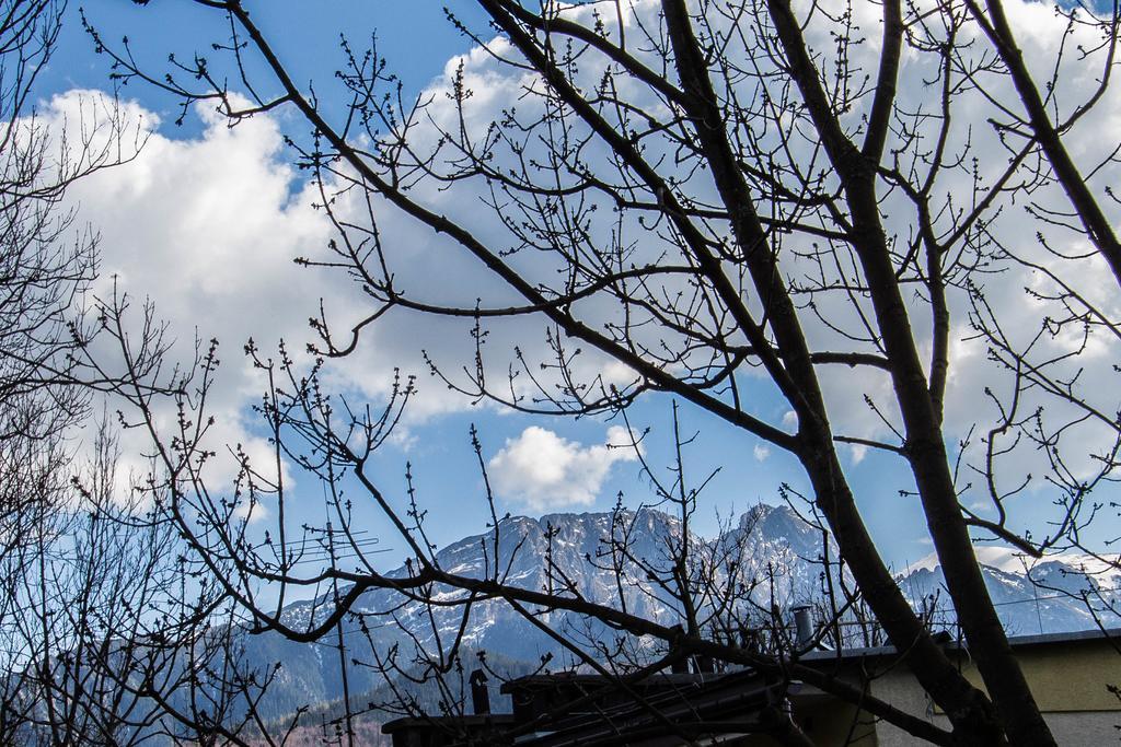 Apartament Owcze Runo Zakopane Luaran gambar